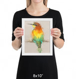 European Bee Eater Framed Print