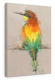 European Bee Eater Canvas