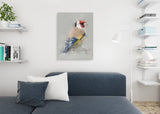 European Goldfinch Canvas