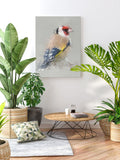 European Goldfinch Canvas