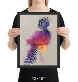 Great Curassow Framed Print