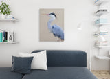 Grey Heron Canvas