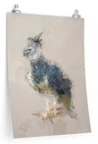 Harpy Eagle Paper Print