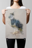 Harpy Eagle Paper Print