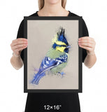 Himalayan Black-lored Tit Framed Print