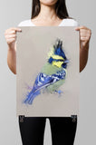 Himalayan Black-lored Tit Paper Print