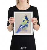 Himalayan Black-lored Tit Framed Print