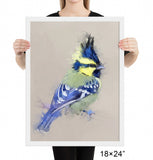 Himalayan Black-lored Tit Framed Print