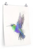 Humming bird Paper Print No.1