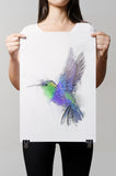 Humming bird Paper Print No.1