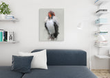 King Vulture Canvas