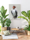 King Vulture Canvas