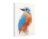 Common Kingfisher Canvas