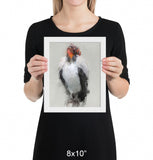 King Vulture Framed Print