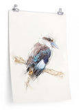 Laughing Kookaburra Paper Print