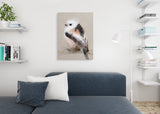 Long-tailed Tit Canvas