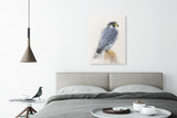 Peregrine Falcon Canvas