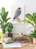 Peregrine Falcon Canvas