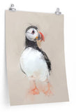 Puffin Paper Print