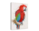 Red and Green Macaw Canvas