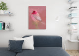 Rosefinch Canvas