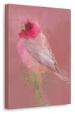 Rosefinch Canvas