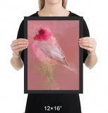 Rosefinch Framed Print