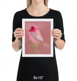 Rosefinch Framed Print