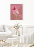 Rosefinch Framed Print