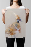 Spinifex Pigeon Paper Print