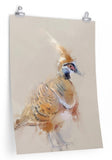 Spinifex Pigeon Paper Print