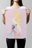 Yellow-crested Cockatoo Paper Print