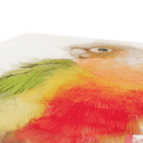 Pineapple Conure Canvas