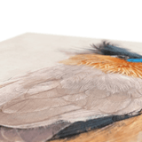 Brahminy Starling Canvas