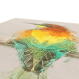 European Bee Eater Canvas