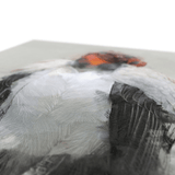 King Vulture Canvas